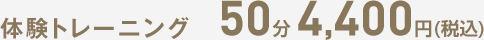 体験トレーニング 50分 4,400円(税込)